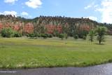 Tract 1 Belle River Ranch - Photo 21
