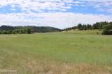 Tract 1 Belle River Ranch - Photo 23