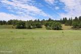 Tract 1 Belle River Ranch - Photo 24