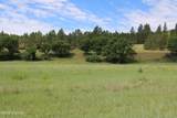 Tract 1 Belle River Ranch - Photo 25