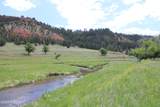 Tract 1 Belle River Ranch - Photo 26