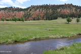 Tract 1 Belle River Ranch - Photo 27