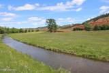 Tract 1 Belle River Ranch - Photo 29
