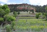 Tract 1 Belle River Ranch - Photo 30
