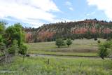Tract 1 Belle River Ranch - Photo 31
