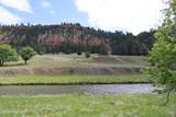 Tract 1 Belle River Ranch - Photo 32