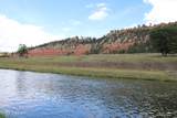 Tract 1 Belle River Ranch - Photo 33