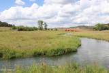 Tract 1 Belle River Ranch - Photo 38