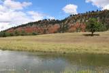 Tract 1 Belle River Ranch - Photo 39