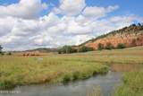 Tract 1 Belle River Ranch - Photo 41
