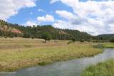 Tract 1 Belle River Ranch - Photo 44