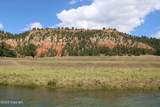 Tract 1 Belle River Ranch - Photo 45