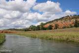 Tract 1 Belle River Ranch - Photo 46