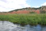 Tract 1 Belle River Ranch - Photo 49
