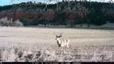 Tract 1 Belle River Ranch - Photo 50