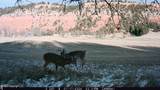 Tract 1 Belle River Ranch - Photo 58