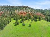 Tract 1 Belle River Ranch - Photo 6
