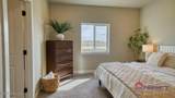 3805 Red Lodge Dr - Photo 75