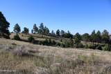 Tract 15 Triple R Bar Ranch - Photo 10