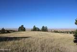 Tract 15 Triple R Bar Ranch - Photo 13