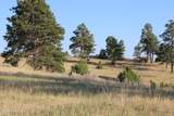 Tract 15 Triple R Bar Ranch - Photo 2