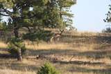 Tract 15 Triple R Bar Ranch - Photo 3