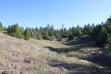 Tract 15 Triple R Bar Ranch - Photo 4