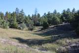 Tract 15 Triple R Bar Ranch - Photo 6