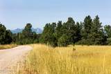 Tbd Bearlodge Ranch Road - Photo 11