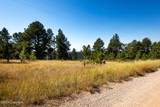 Tbd Bearlodge Ranch Road - Photo 12