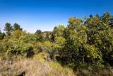 Tbd Bearlodge Ranch Road - Photo 13