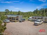114 Holly Ave - Photo 4