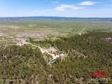 114 Holly Ave - Photo 40