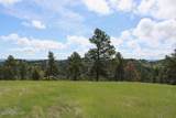 Tract 43 Bulldog Lane - Photo 6