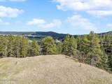 Tract 5 Lone Elk Ranch - Photo 12