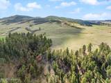 Tract 5 Lone Elk Ranch - Photo 13