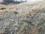 Tract 8 Lone Elk Ranch - Photo 14