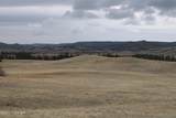 Tract 10 Lone Elk Ranch - Photo 15