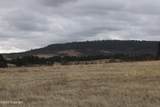 Tract 10 Lone Elk Ranch - Photo 20