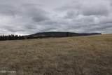Tract 10 Lone Elk Ranch - Photo 21