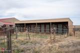 10326 Hwy 59 - Photo 37