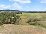 Tracts 6&7 Lone Elk Ranch - Photo 4