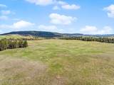 Tracts 6&7 Lone Elk Ranch - Photo 6