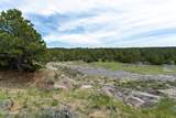 30 Ponderosa Dr - Photo 44