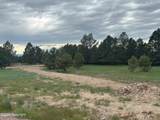 Lot 3 Sunset Ridge Road - Photo 8