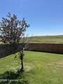 559 Hay Creek - Photo 35