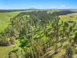 567 Dry Creek Rd - Photo 20