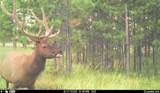 567 Dry Creek Rd - Photo 26