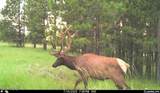 567 Dry Creek Rd - Photo 27