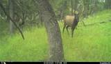 567 Dry Creek Rd - Photo 28